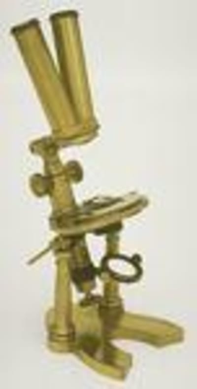 Microscope mynv2e - Eugenol