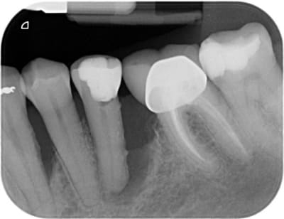 Mme loxxx  2  bkind4 - Eugenol