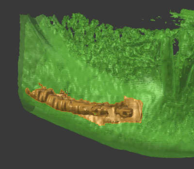 Nai6 wlvz1d - Eugenol