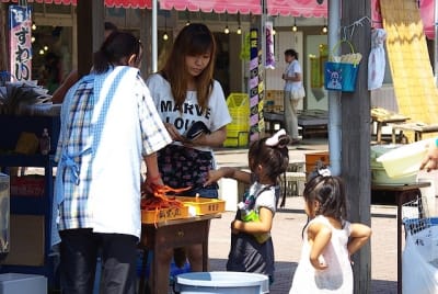 Ndch  25  gboyoz - Eugenol