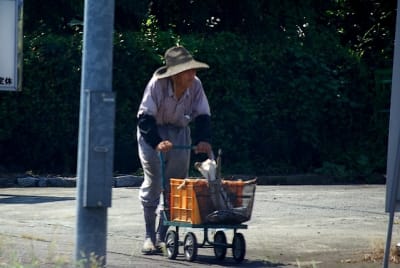 Ndch  28  h1dltl - Eugenol