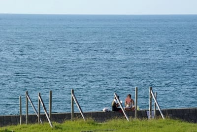 Ndch  31  hk0mn0 - Eugenol