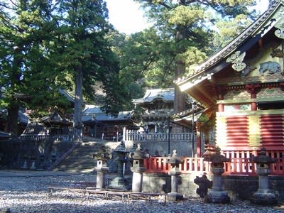 Nikko3 xz0jke - Eugenol