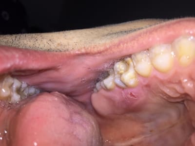 Njmf6ouaqw3my7snyikl - Eugenol