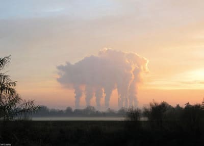 Nuage cochon wvewyc - Eugenol