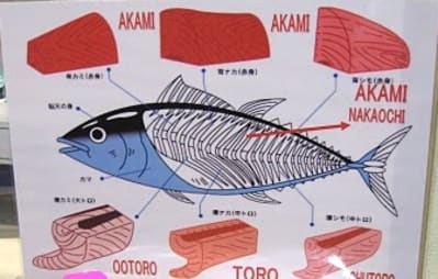 Otorovsakami twgagk - Eugenol