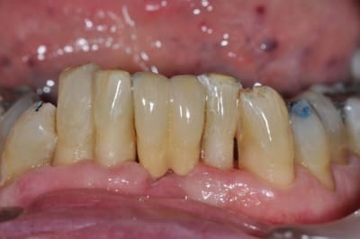 P 375 wz2inm - Eugenol