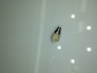 Photo 1 jlh1vb - Eugenol