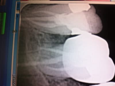 Photo ie8s2j - Eugenol