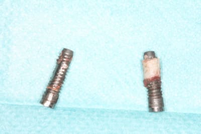 Photoseos2012 136 it0tuu - Eugenol