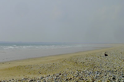 Plage dlq3nr - Eugenol