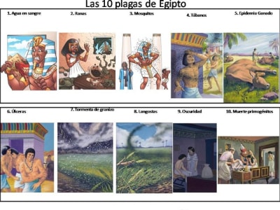 Plaiesegypte eqq0m3 - Eugenol