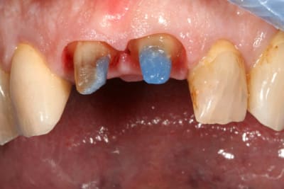 Pr parations mjqkyb - Eugenol