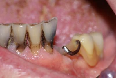 Proth se2 rjv2e2 - Eugenol