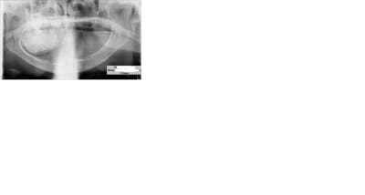 Qdb8bpehtgjakzcjogz2 - Eugenol