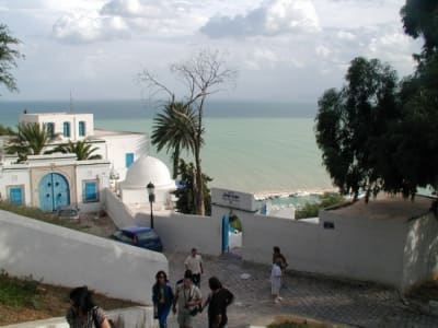 Rue artere villes cafe sidi 481480 urhomv - Eugenol