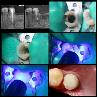 Sc33 wvn1ox - Eugenol