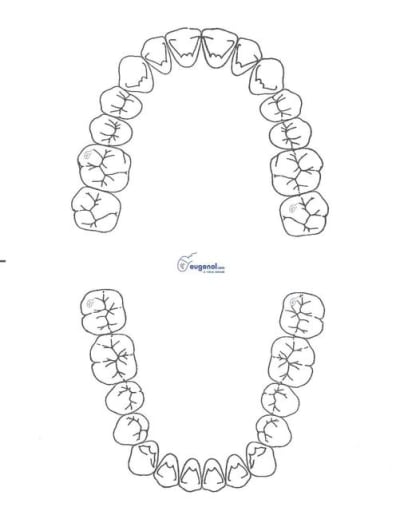 Schéma nono 0l1 v9dgtt - Eugenol