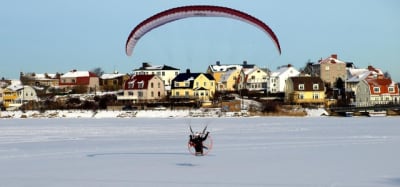 Skarmflygareoverlango zcyvql - Eugenol