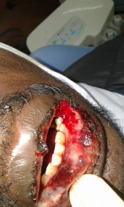 Tcqr7ae38u5kjbew2hgk - Eugenol