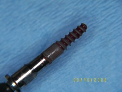 Templant explantiert brlwtx - Eugenol