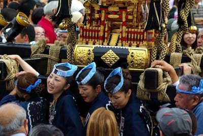 Tksk  204  agiean - Eugenol