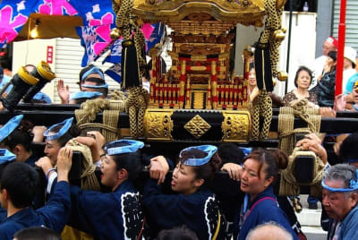 Tksk  227  lyomaj - Eugenol