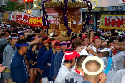 Tksk  273  xzxnik - Eugenol