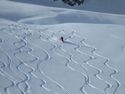 Traces ozlahh - Eugenol