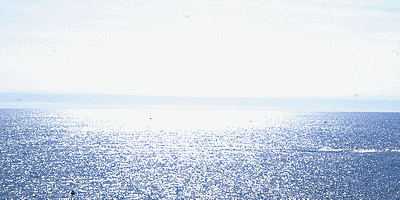 Travellings pzlhy1 - Eugenol