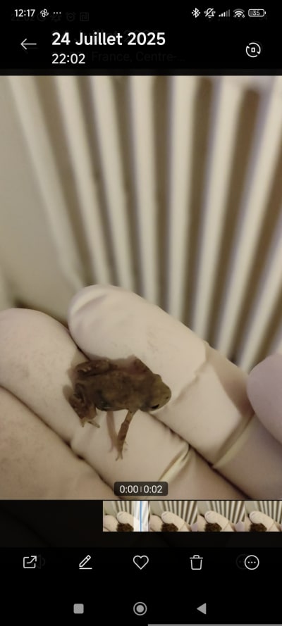 U4swhkwofalw5l96x734d3170x7u - Eugenol