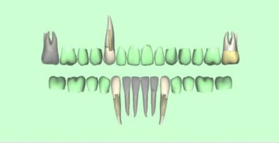 Ux4e6bfsrxikddnpywis - Eugenol