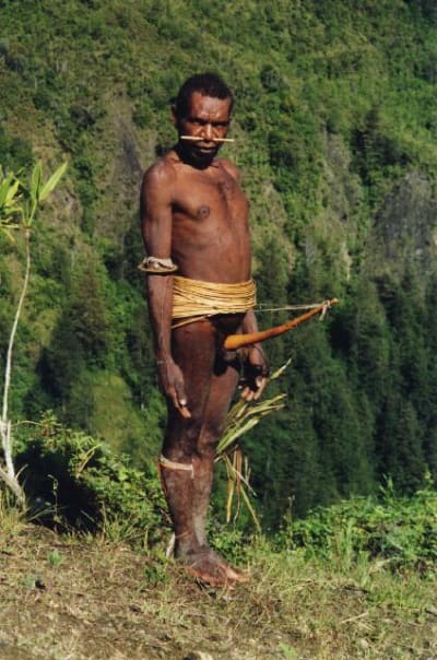 Vuvuzela dq4mlg - Eugenol