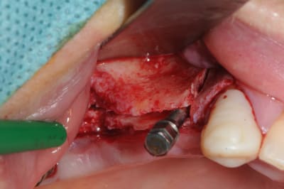 X8oj5o9yomln7qfpxyiu - Eugenol