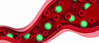 Illustration of a red artery or blood vessel with green virus-like particles and red blood cells flowing through it, against a white background.