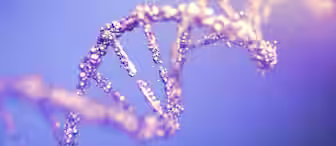 Close-up of a stylized DNA double helix structure with a soft focus and a gradient background transitioning from blue to purple. The helix appears to be made of sparkling, translucent material, creating a glowing effect against the background.