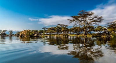 Lake Naivasha Adventures