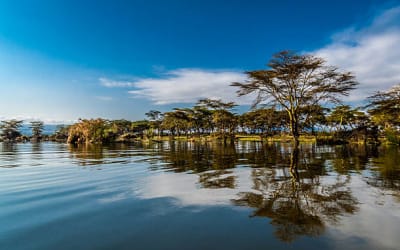 Lake Naivasha Trip