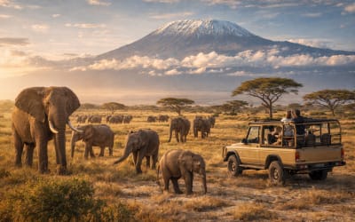 Amboseli Safari