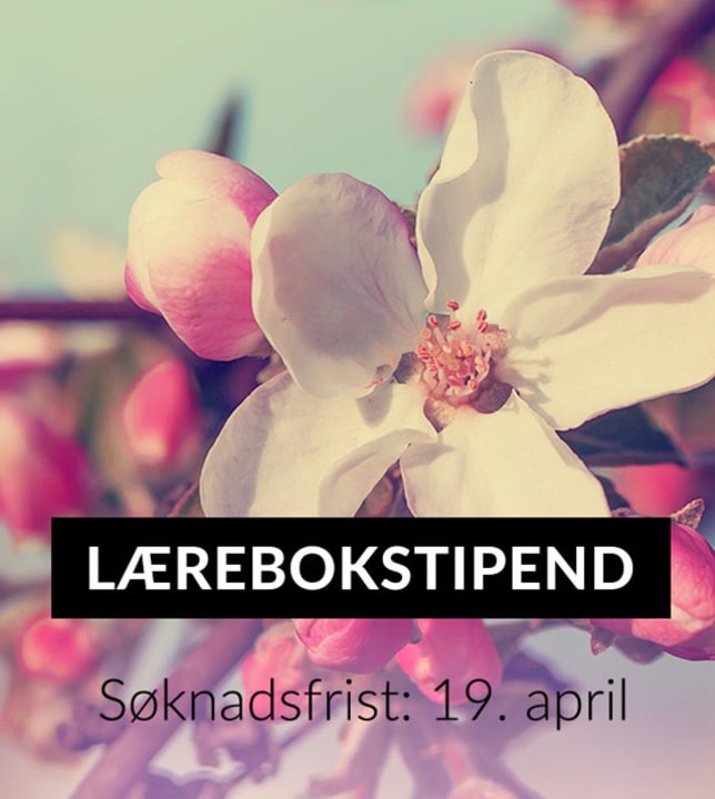 Skrivestipend liten