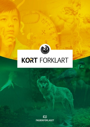 Lesedilla: Kort forklart