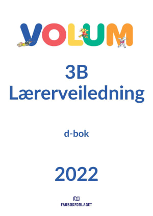 Volum 3B Lærerveiledning, d-bok