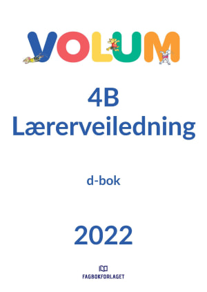 Volum 4B Lærerveiledning, d-bok