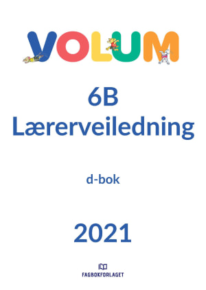 Volum 6B Lærerveiledning, d-bok