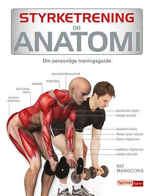 Styrketrening og anatomi