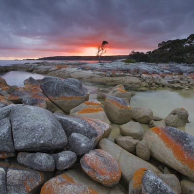 Bay of Fires 