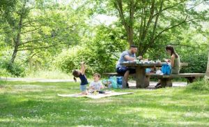 family picnic in the park
