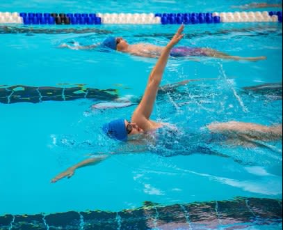 Swimmers practising Backstroke in an indoor swimming pool.