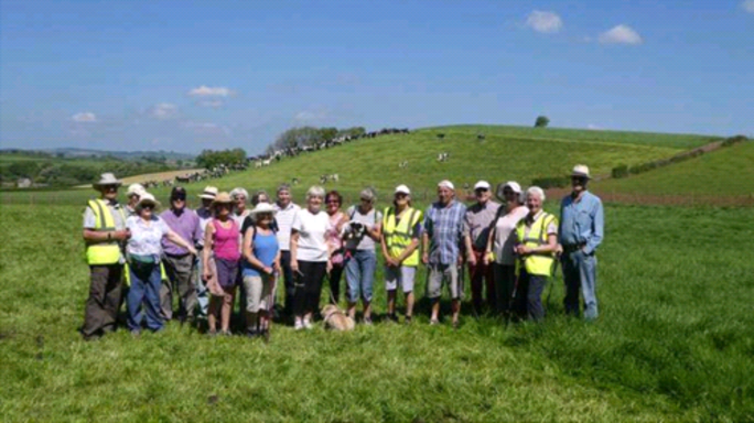 Walkers on a hillside