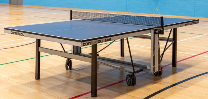 Table tennis table
